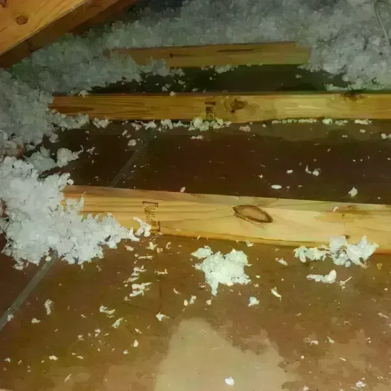 Attic Water Damage in Pine City, MN